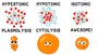 Active and Passive Transport