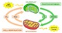 Molecular Biology Reviewer