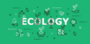 Ecology and Levels of Organization