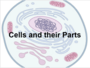 Cell Parts and Their Functions