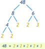 Prime Factorization