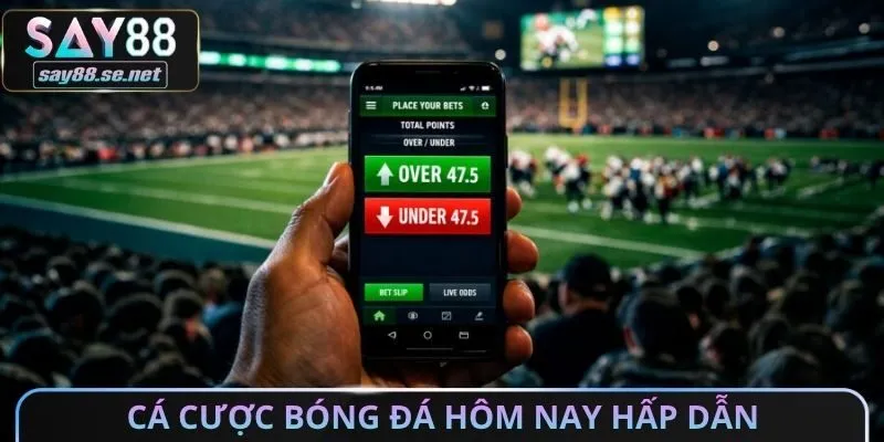 Cá cược bóng đá hôm nay hấp dẫn