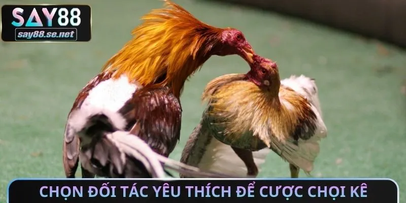 Chọn đối tác yêu thích để cược chọi kê