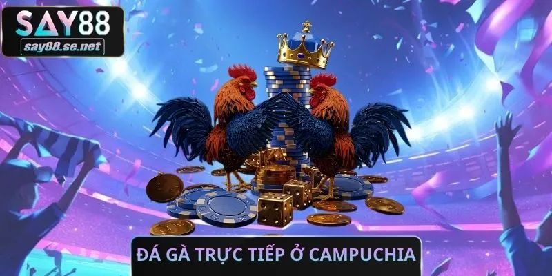 Đá Gà Trực Tiếp Ở Campuchia