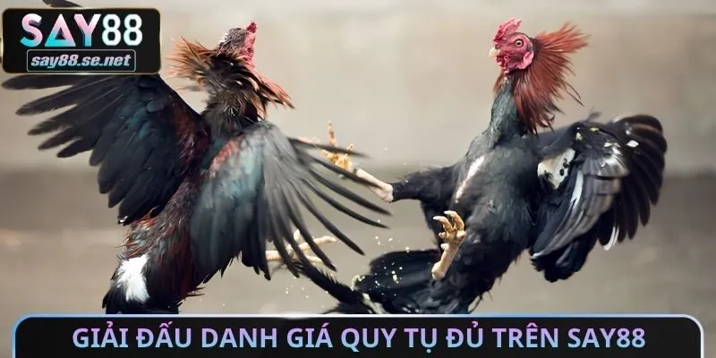 Giải đấu danh giá quy tụ đủ trên Say88