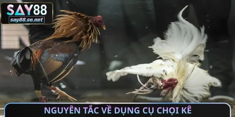 Nguyên tắc về dụng cụ chọi kê