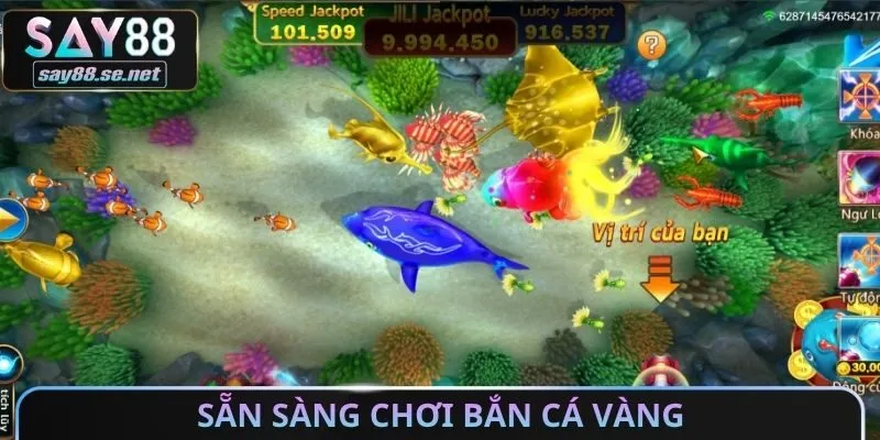 Sẵn sàng chơi bắn cá vàng