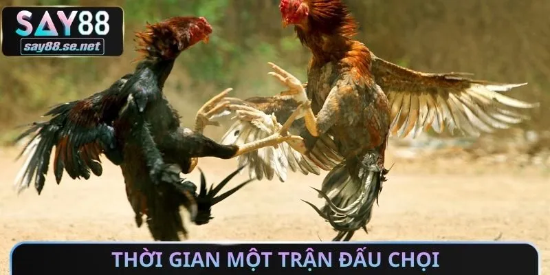Thời gian một trận đấu chọi