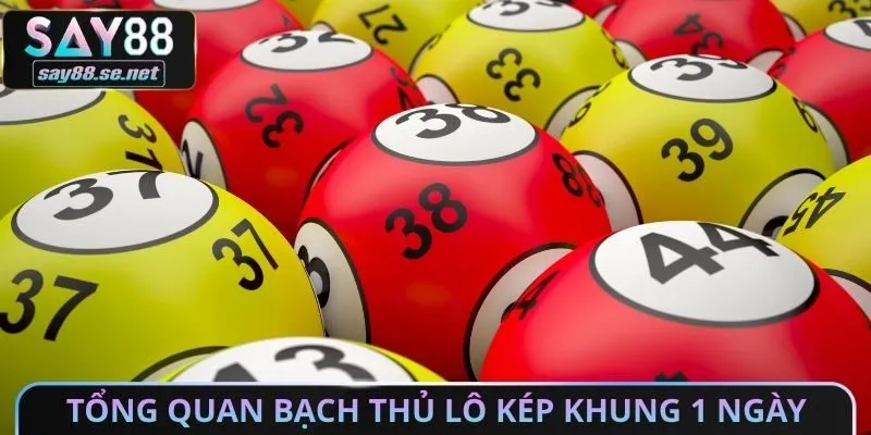 Tổng quan bạch thủ lô kép khung 1 ngày