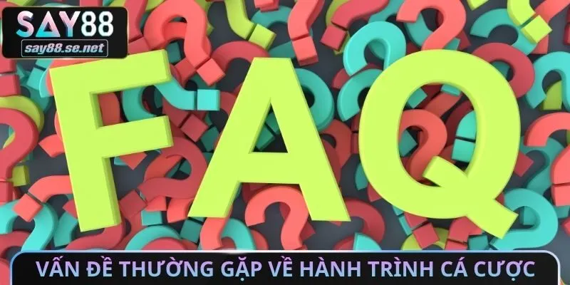 Vấn đề thường gặp về hành trình cá cược